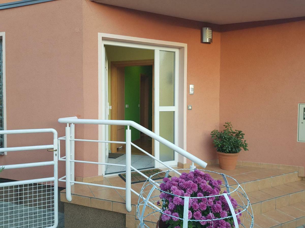 אוסילק Apartment Dominik מראה חיצוני תמונה