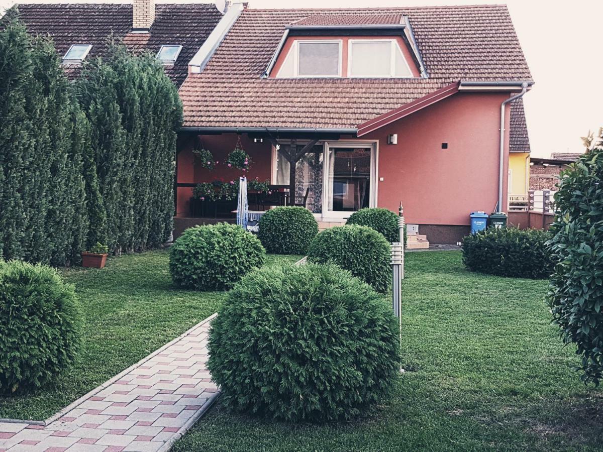אוסילק Apartment Dominik מראה חיצוני תמונה